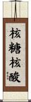 核糖核酸 Scroll