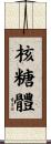 核糖體 Scroll