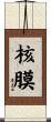 核膜 Scroll
