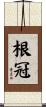 根冠 Scroll