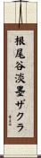 根尾谷淡墨ザクラ Scroll