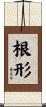 根形 Scroll