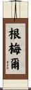 Gemmell Scroll