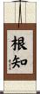 根知 Scroll