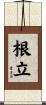 根立 Scroll