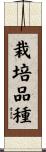 栽培品種 Scroll