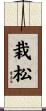 栽松 Scroll