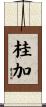 桂加 Scroll