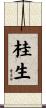 桂生 Scroll