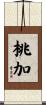 桃加 Scroll