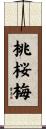 桃桜梅 Scroll