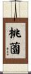桃薗 Scroll