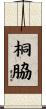 桐脇 Scroll