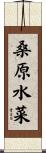 桑原水菜 Scroll