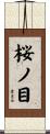 桜ノ目 Scroll
