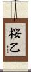 桜乙 Scroll