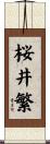 桜井繁 Scroll