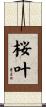 桜叶 Scroll