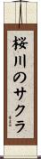 桜川のサクラ Scroll