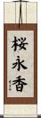 桜永香 Scroll