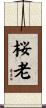 桜老 Scroll
