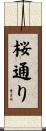 桜通り Scroll