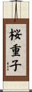 桜重子 Scroll