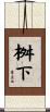 桝下 Scroll