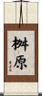 桝原 Scroll