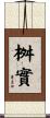 桝實 Scroll