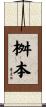 桝本 Scroll