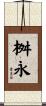 桝永 Scroll