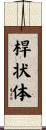桿状体 Scroll