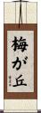 梅が丘 Scroll