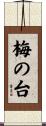 梅の台 Scroll
