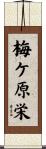 梅ケ原栄 Scroll