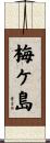 梅ケ島 Scroll