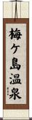 梅ケ島温泉 Scroll