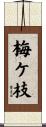 梅ケ枝 Scroll