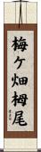 梅ケ畑栂尾 Scroll