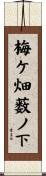 梅ケ畑薮ノ下 Scroll
