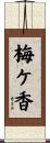 梅ケ香 Scroll