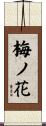 梅ノ花 Scroll