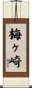 梅ヶ崎 Scroll