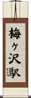 梅ヶ沢駅 Scroll