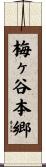 梅ヶ谷本郷 Scroll