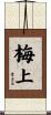梅上 Scroll