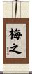 梅之 Scroll