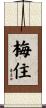 梅住 Scroll