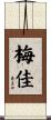 梅佳 Scroll